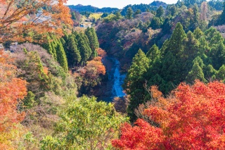 千葉 養老渓谷 紅葉 清流 房総丘陵