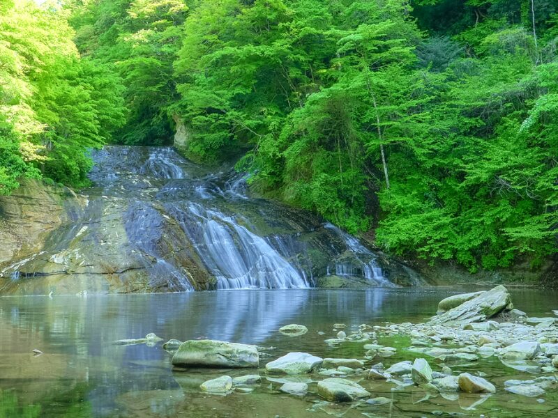 千葉 テントサウナ チルバレー 養老渓谷 黒湯 サウナ