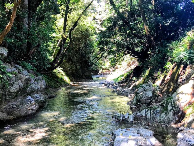 大阪 テントサウナ enne sauna 河内長野 石見川