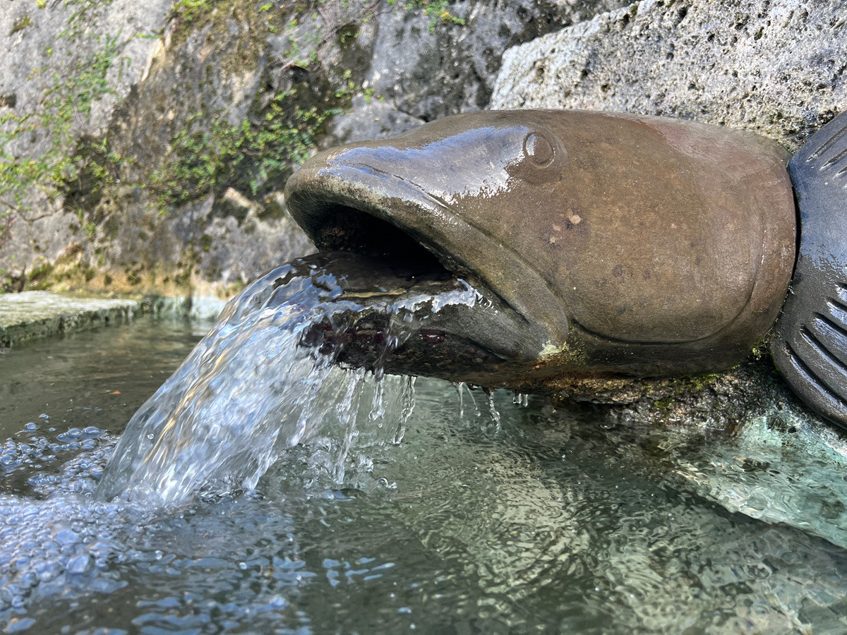 沖縄 アウトドアサウナ UNAGI SAUNA 本部町 湧水 やんばる
