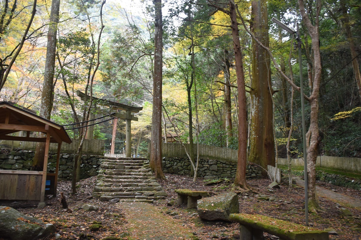大阪 アウトドアサウナ 犬鳴山 渓谷