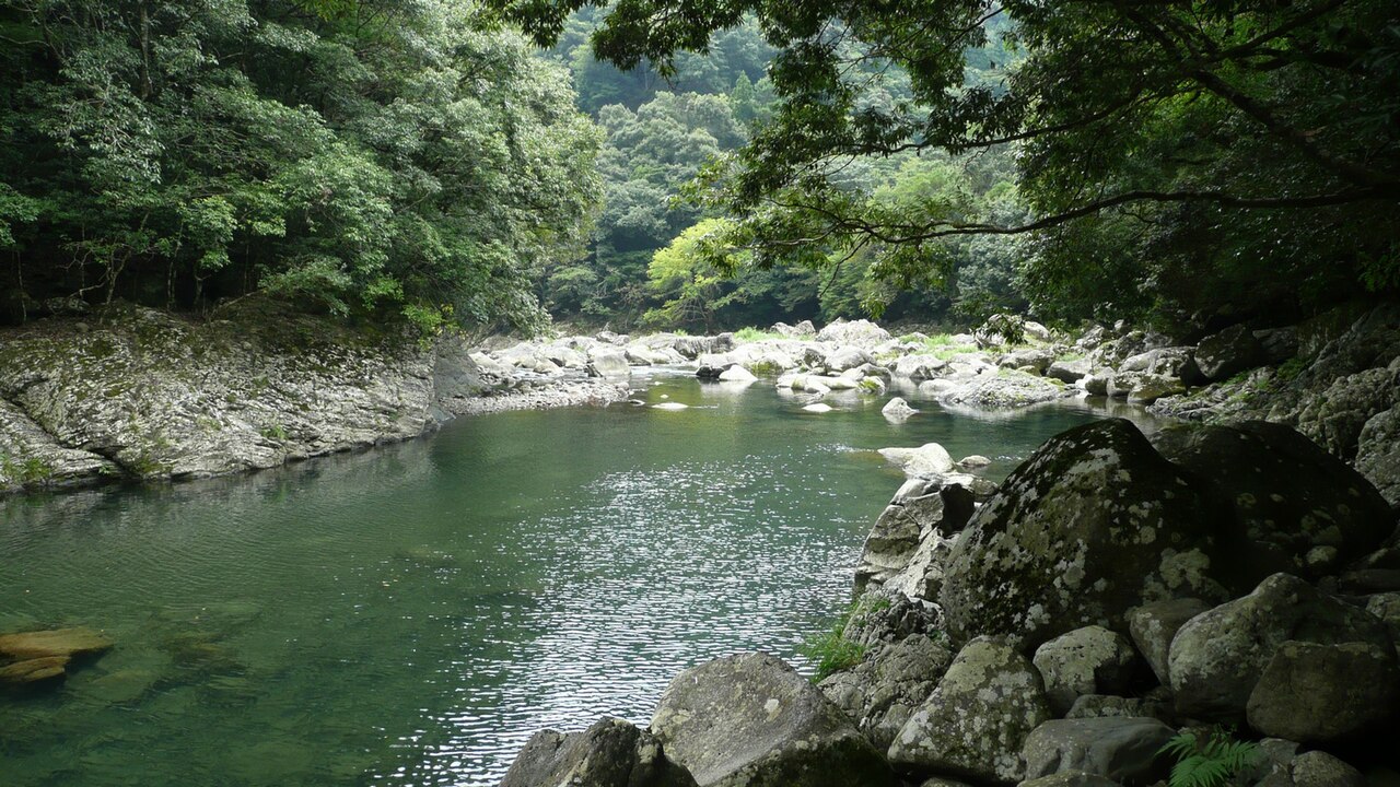 宮崎 綾川 本庄川 照葉樹林 川サウナ