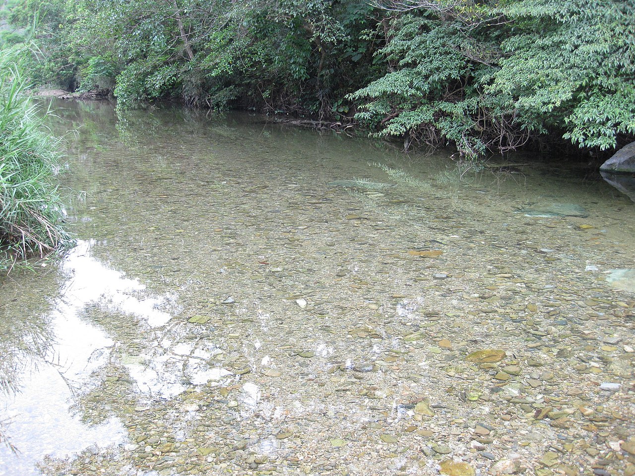 沖縄 源河川 名護 清流 Treeful アウトドアサウナ