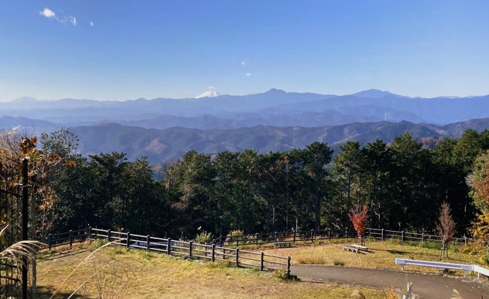 埼玉 奥武蔵 森林 自然 飯能