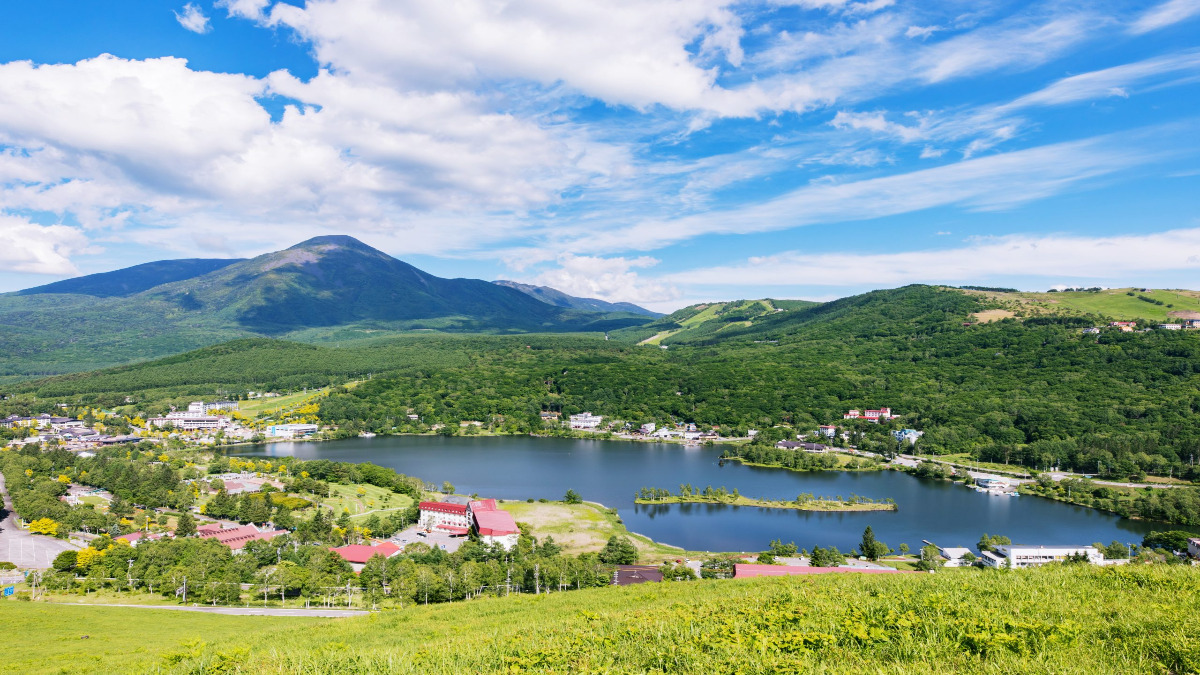長野 自然サウナ 白樺湖 高原リゾート