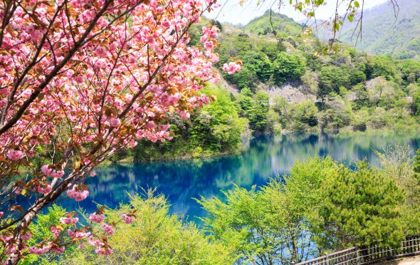 群馬 四万湖 コバルトブルー 四万ブルー 中之条