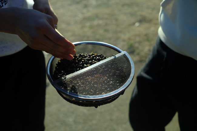 千葉 テントサウナ タキビレッジ いすみ サウナ キャンプ