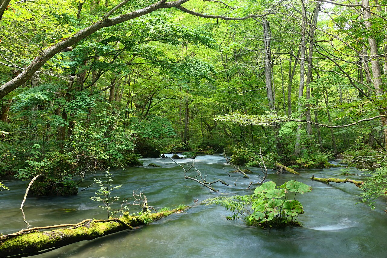 東北 奥入瀬渓流 清流 川サウナ