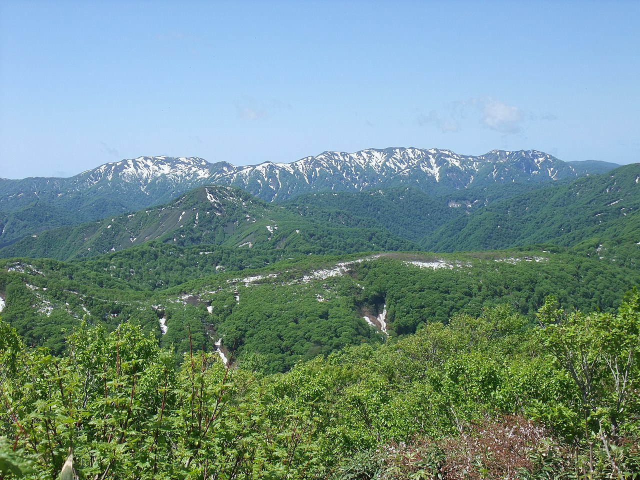 東北 白神山地 原生林 自然