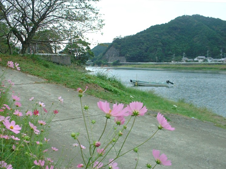和歌山 古座川 清流 水の国 テントサウナ