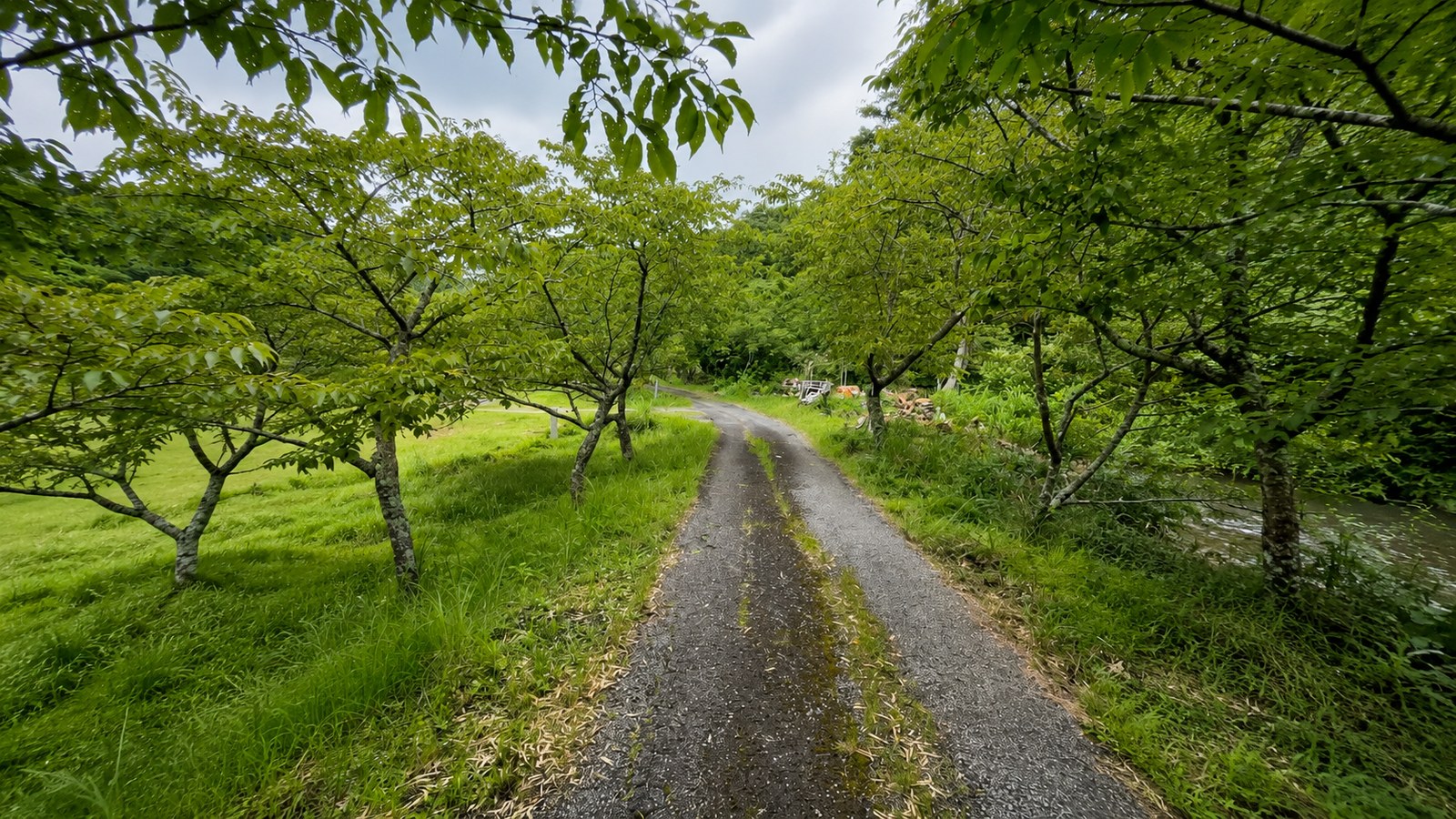 川サウナFIELD 大多喜 タラレバキャンプ場