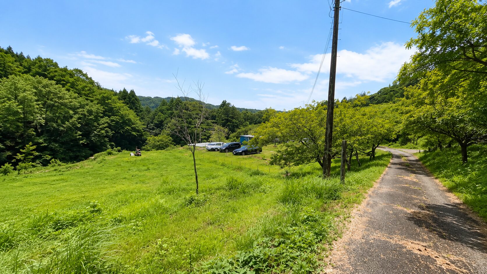 川サウナFIELD 大多喜 タラレバキャンプ場
