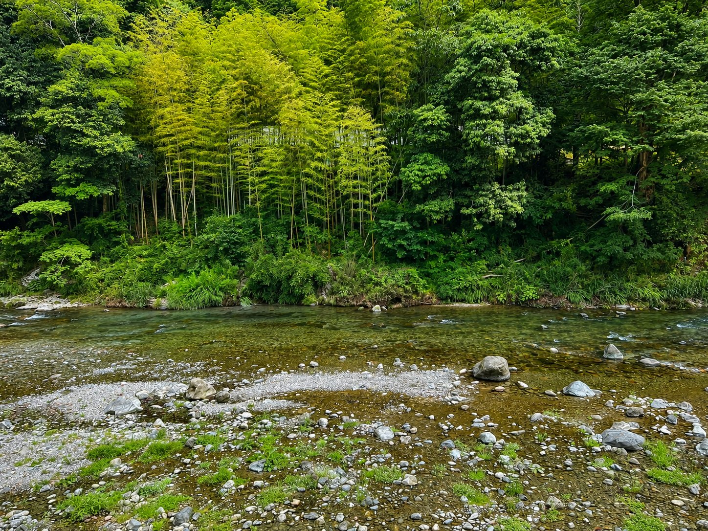 川サウナFIELD あきる野戸倉 秋川渓谷