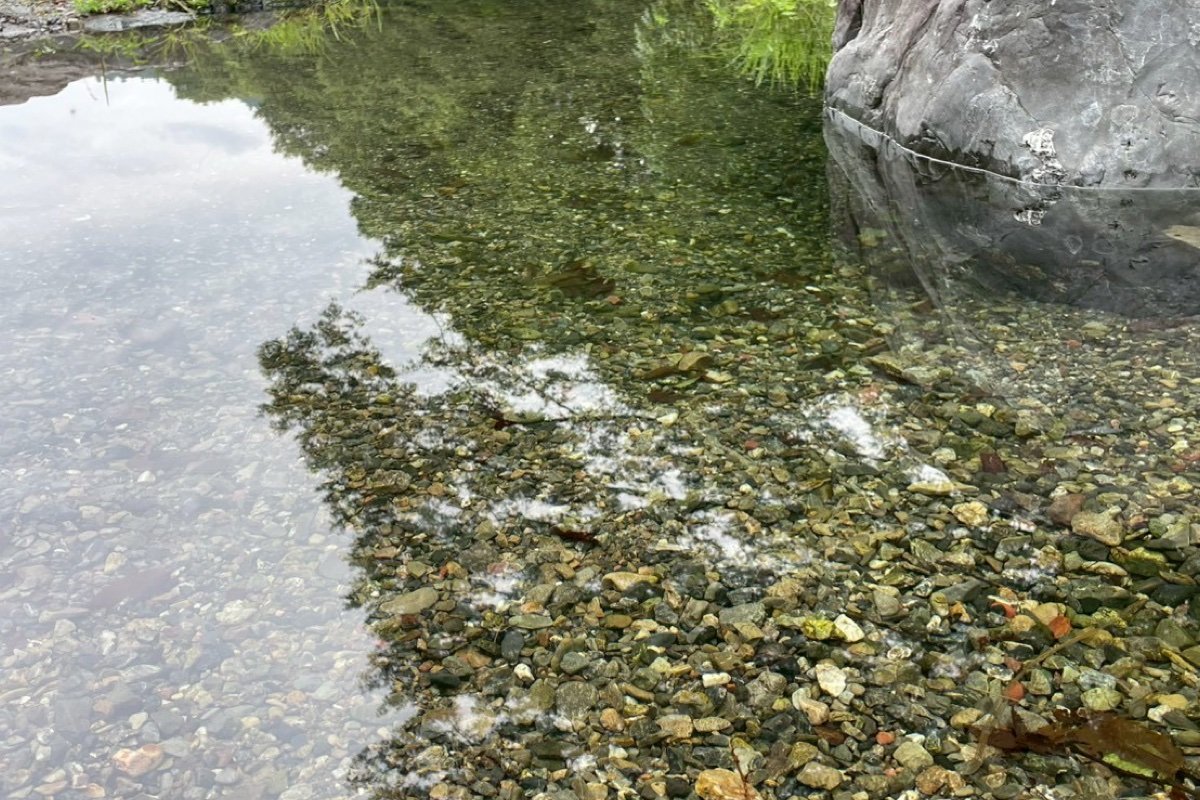 川サウナFIELD 飯能 入間川 テントサウナ